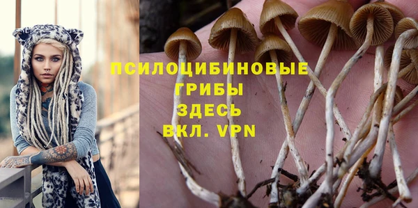 а пвп мука Верея